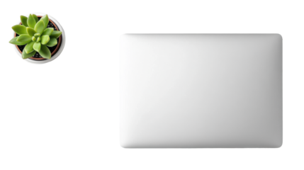 Minimalist Home Office with Laptop and Succulent