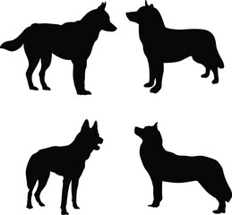 Dog running and standing in different positions silhouette set vector illustration