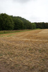 Obraz premium Rustic autumn scene of harvested farmland and woodland edge under overcast sky in Thurgarton, Nottinghamshire, England