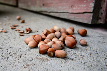 Hazelnuts