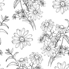 Calming tea herbs seamless pattern hand drawn in ink. Graphic background with chamomile, linden and mint. Template for design of herbal tea and aromatic oils