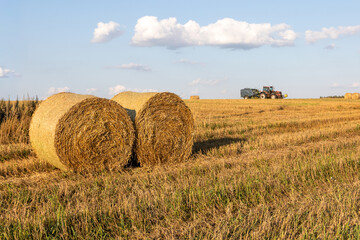 Round hay bales in field with baler wrapper machine working in background © TashaAsha