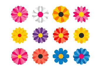 Collection of twelve colorful daisylike flowers with vibrant petals in various shades, isolated on a white background