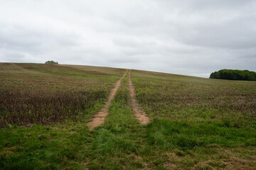 View of a scenic farmland path winding through rolling fields under a cloudy sky in Thurgarton, Nottinghamshire, England.