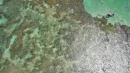 Aerial top-down view of natural pools and coral reefs at Pontal do Cupe Beach, Porto de Galinhas,...
