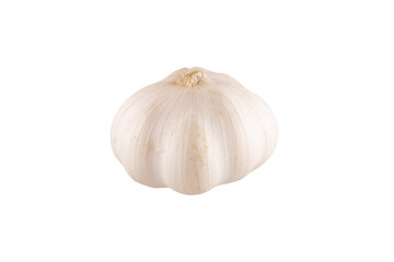 Garlic bulb and clove isolated. Garlic bulbs with cloves on white background