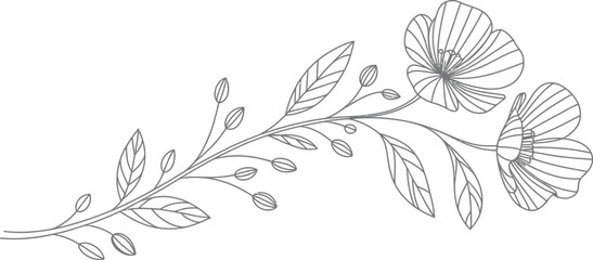 Gray Outline Flower with Leaves on White Background Floral Elegant Design