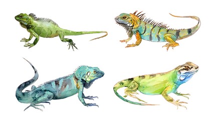 Naklejka premium Colorful set of lizard with many colors, watercolor illustration on a white background in a realistic style. Template. Hand drawing. Close-up. Clip art