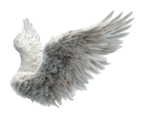 Majestic winged creature in flight high-detail isolated on transparent background