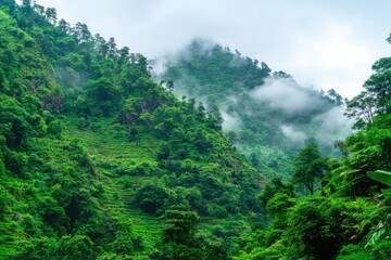 Misty mountain range, lush green slopes