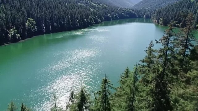 An elevated, scenic view looking down through the tops of dense evergreen pine trees at a stunning, tranquil turquoise-colored lake nestled in a vast forest.