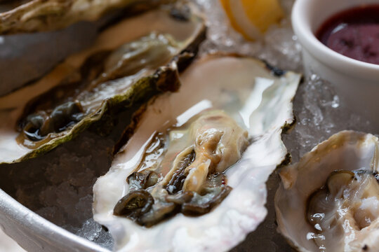 fresh shucked oysters on the half shell close-up