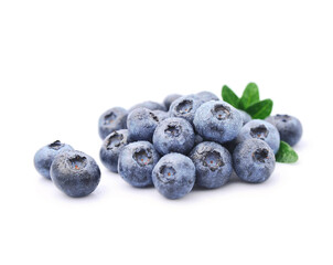 Ripe bilberry with water drops