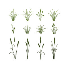 Green grass vector – natural field background for landscape, garden, and eco-friendly design projects.