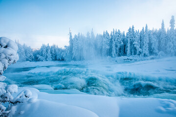 Winter landscape with river and trees in northern Sweden. Storforsen is one of Europe's largest...