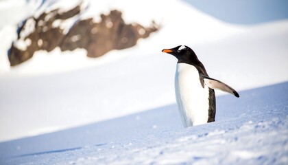 Obraz premium A single penguin stands poised on a snowy landscape, its wings slightly outstretched, against a backdrop of distant, blurred mountains.
