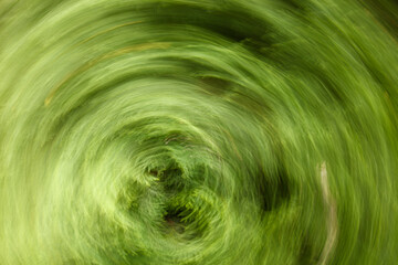 A green swirl with a lot of green in it
