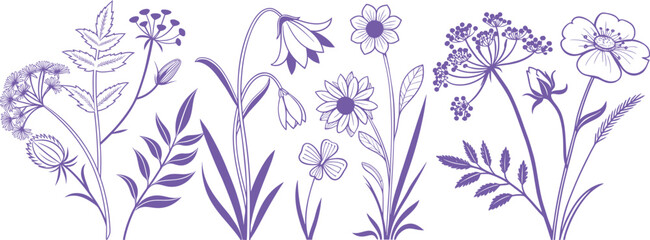 Elegant purple floral line art illustration featuring wildflowers and botanical elements. Hand-drawn decorative flowers perfect for design, print, and textile projects. Stylish vector outline art.