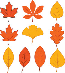 Collection of colorful autumn leaves in various shapes and sizes on a white background