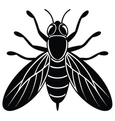 Stylized fly illustration with vibrant color palette