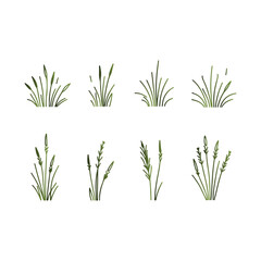 Fresh green grass vector – realistic nature illustration for posters, flyers, and branding artwork.