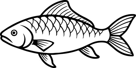 common carp outline vector illustration line art