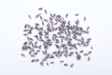Dried lavender flowers on white background, flat lay