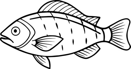 coral trout outline vector illustration line art
