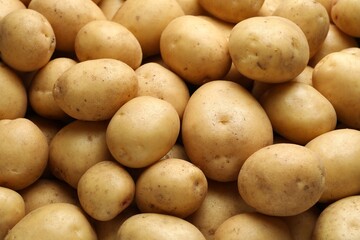 Fresh raw potatoes as background, closeup view