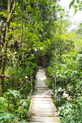 Narrow Wooden Suspension Bridge Deep in the Lush Tropical Rainforest for Adventure Travel and Eco-Tourism Concepts © Baifoworld