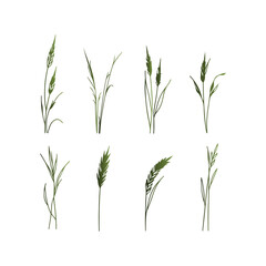 Minimal green grass vector – clean meadow pattern for web design, decoration, and digital art.