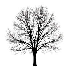 Obraz premium Silhouette of a Bare Tree Branch Against Black Background Winter Landscape Vector Illustration