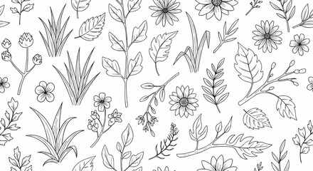 Elegant botanical floral pattern with hand-drawn leaves, herbs, and flowers in seamless line art black and white design for backgrounds and textiles.