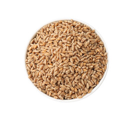Wheat grains in bowl isolated on white, top view