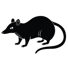 rat vector