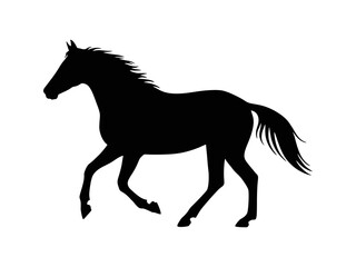 horse silhouette isolated on white