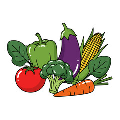 vegetables on white background