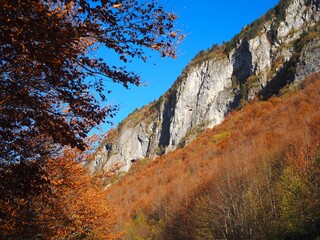 Vibrant Autumn in Prokletije National Park, Montenegro: Rocks, Orange Forest and Clear Blue Sky