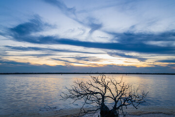 A serene afternoon scene unfolds in Qigu, Tainan City, Taiwan, showcasing the unique landscape of salt fields with a dramatic purple-hued sky and a silhouetted tree.