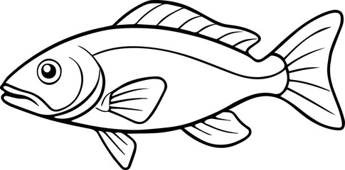 coral trout outline vector illustration line art