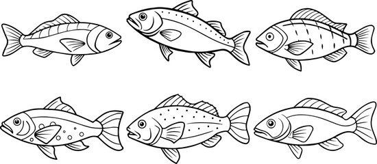 Set of coral trout outline vector illustration line art