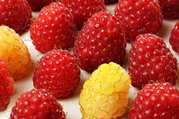 A close-up of fresh raspberries in various shades of red and yellow. 