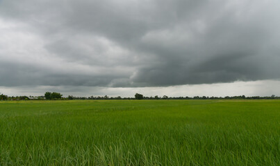Rain clouds and black sky textured background. Danger storm cloud, Black cloud and thunder storm, Dark sky and motion clouds before rainy.
