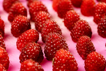 Fresh red raspberries arranged in neat rows on a pink background. 