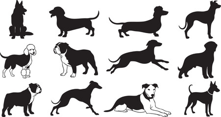 Diverse dog breed silhouettes in various poses dog breeds, dog, silhouette, dog breeds, animal, canine, pet, domestic animal, mammal, puppy, doggy, breed, dog lover, dog owner, dog life, dog training,