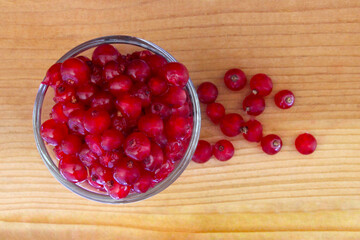 Red Currant on Wood 04