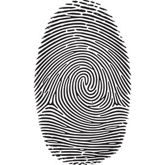 Vector art of closeup of a fingerprint pattern for forensic identification