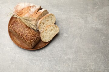 Different types of bread and wheat spikes on grey table, top view. Space for text