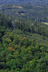 Vast green hills and valleys under bright blue sky in the daytime
