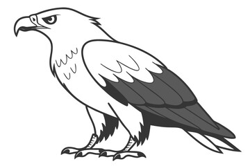 Fototapeta premium Majestic Eagle: A Black and White Bird of Prey Vector Illustration